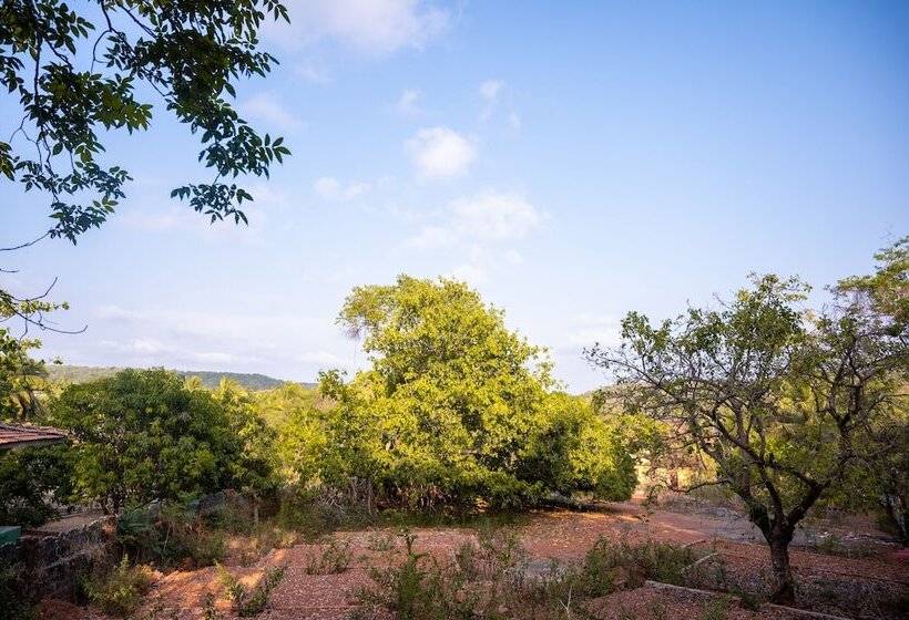 酒店 La Oasis By Meraden