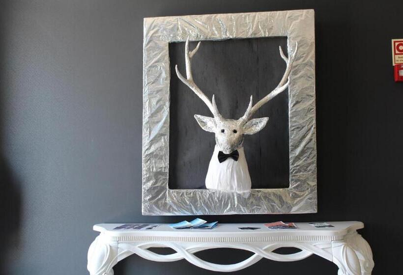 בית מלון כפרי Muchacho