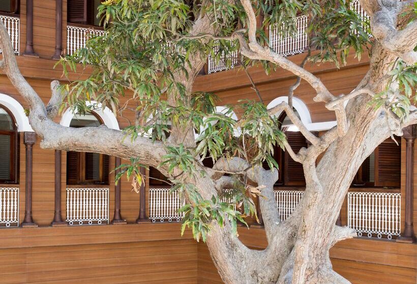 酒店 Park Hyatt Zanzibar