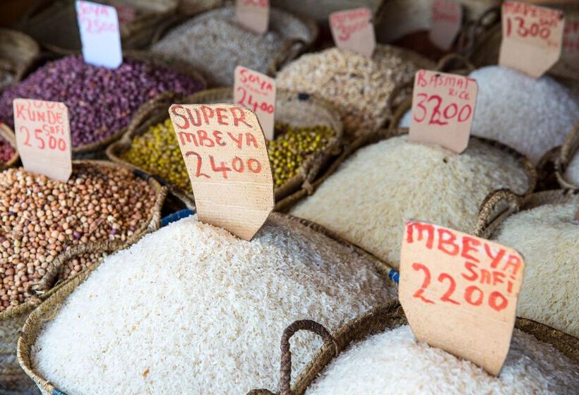 酒店 Park Hyatt Zanzibar