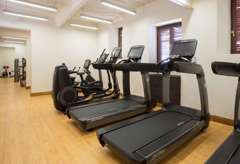 酒店 Park Hyatt Zanzibar