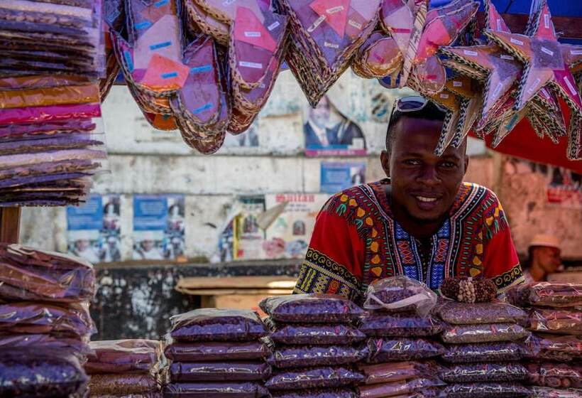 酒店 Park Hyatt Zanzibar