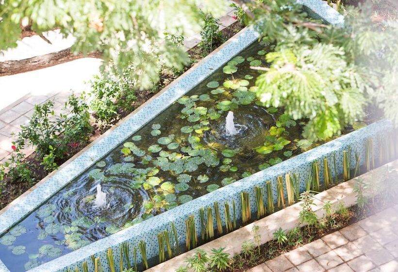 酒店 Park Hyatt Zanzibar