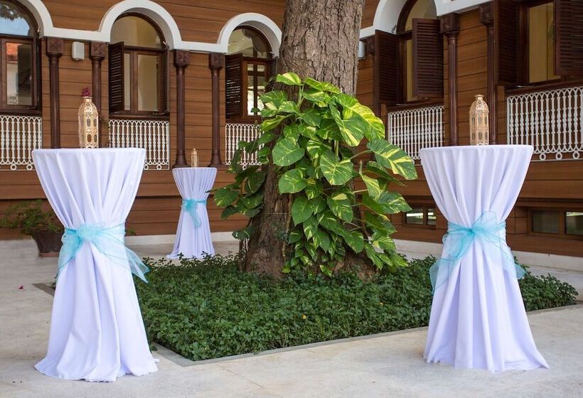 酒店 Park Hyatt Zanzibar