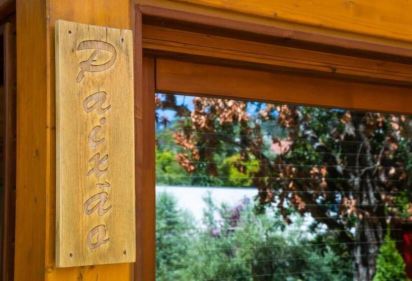 酒店 Rinoterra Minho