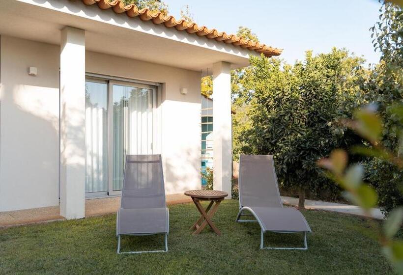 酒店 Rinoterra Minho