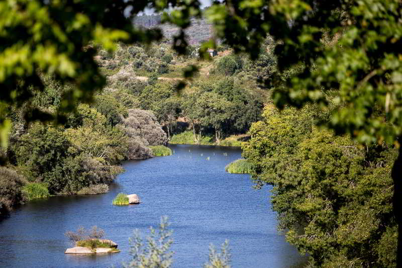 교외 호텔 Casas Do Patio Country Houses & Nature