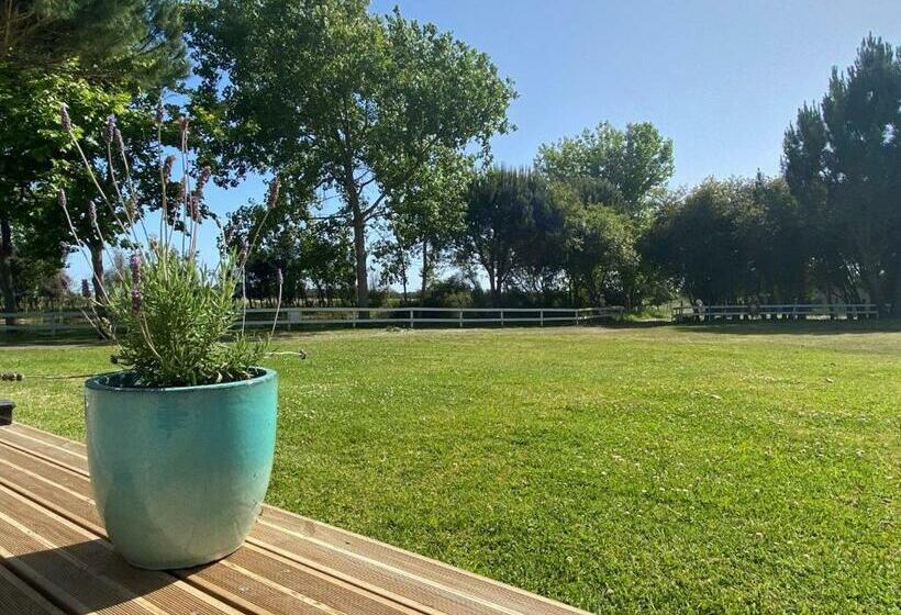 Сельский отель Herdade Moita Mar Country & Sea