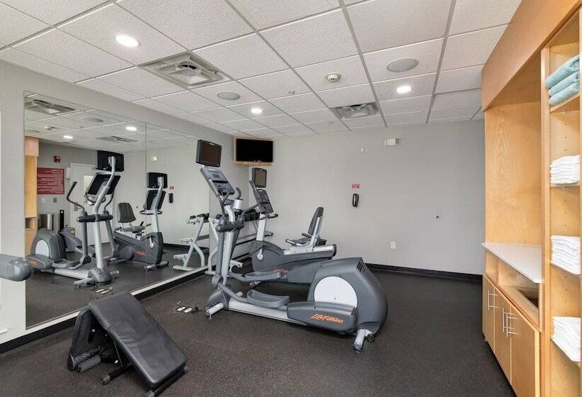 בית מלון כפרי Towneplace Suites By Marriott Dallas Mckinney