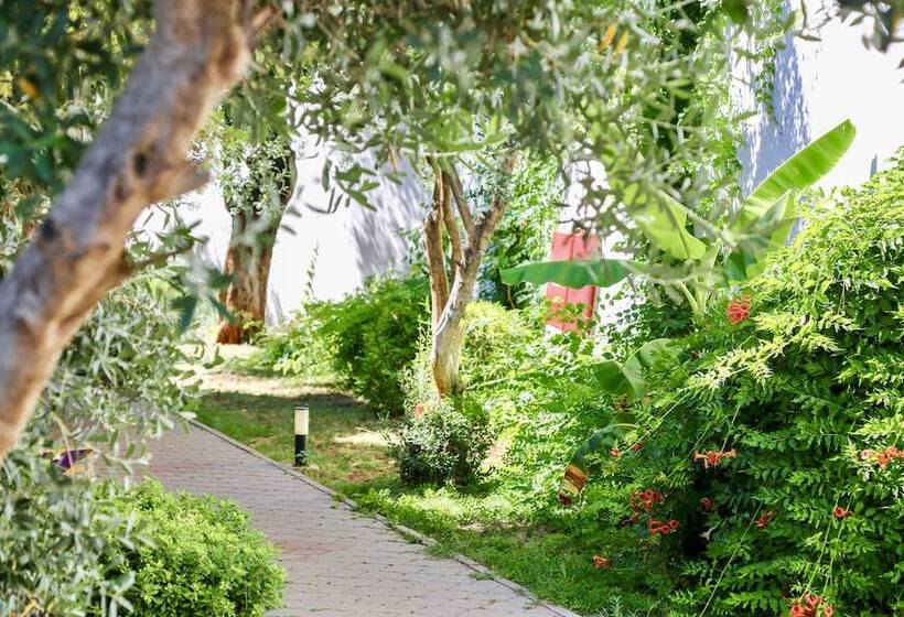 Отель Tropical Deluxe