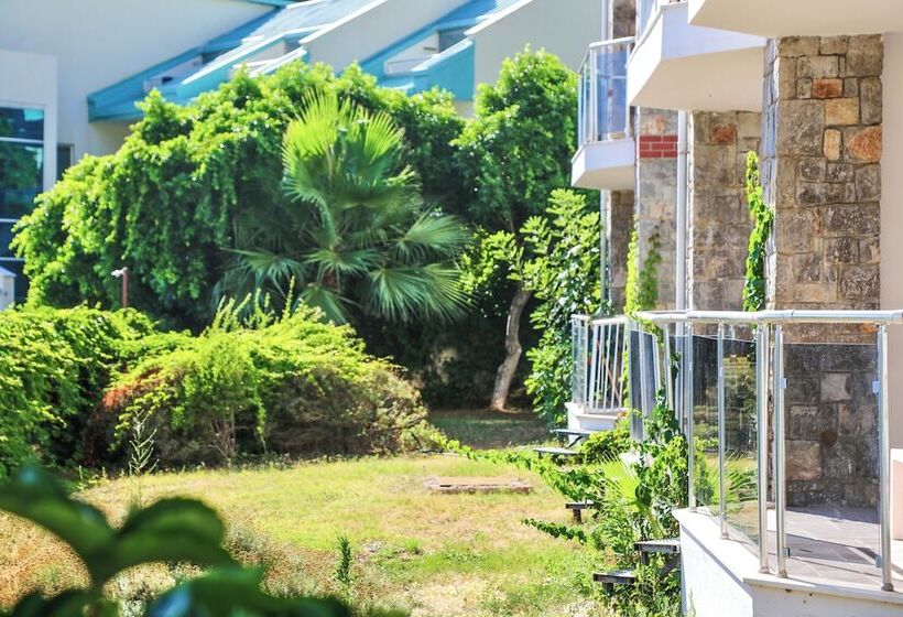 Отель Tropical Deluxe