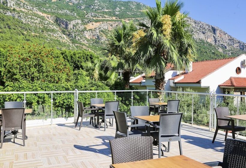 Отель Tropical Deluxe