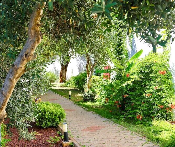 Отель Tropical Deluxe