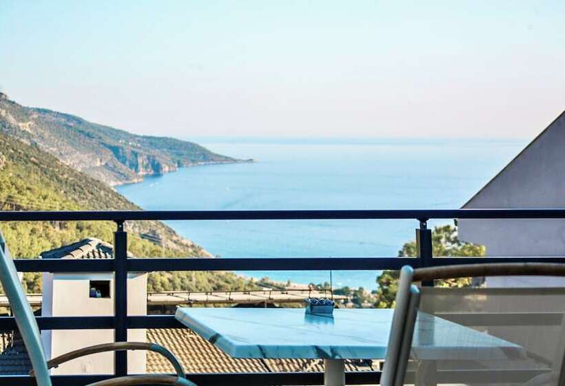 Отель Tropical Deluxe