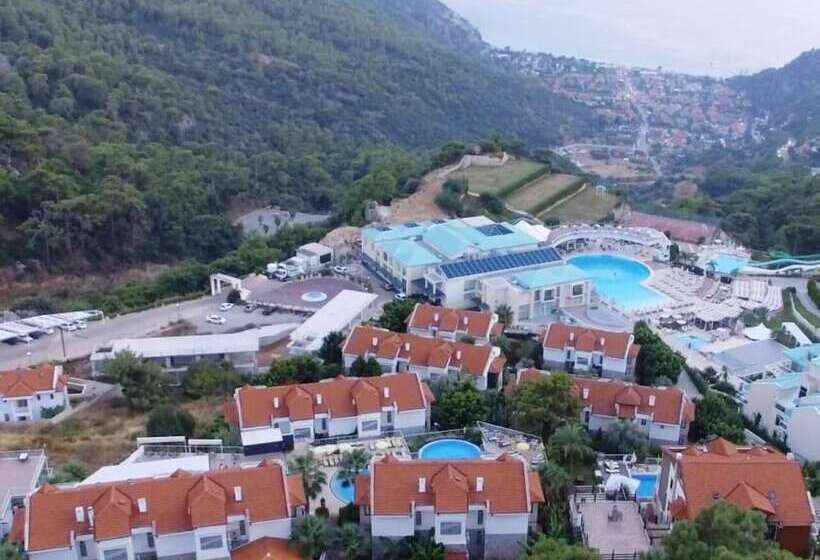 Отель Tropical Deluxe