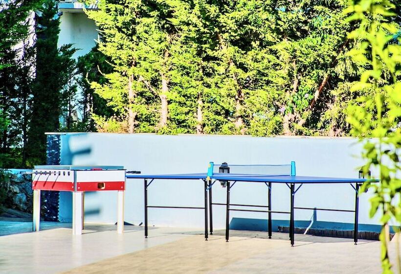 Отель Tropical Deluxe