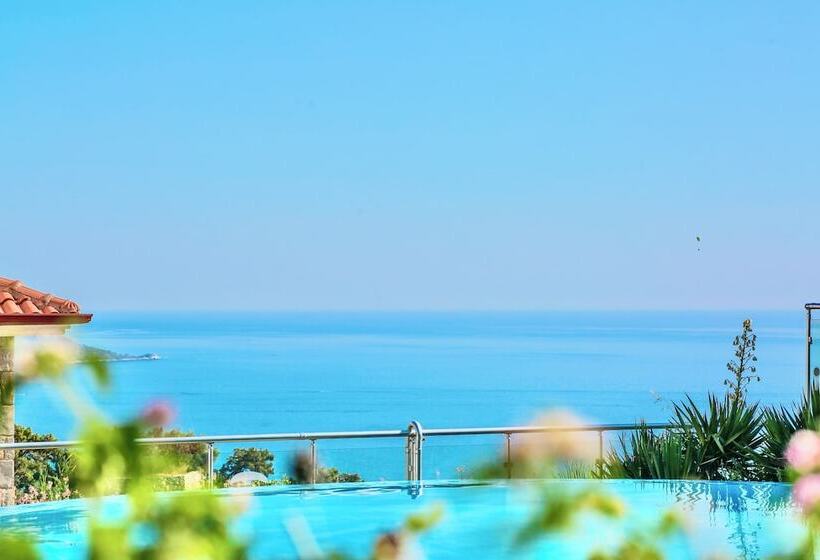 Отель Tropical Deluxe