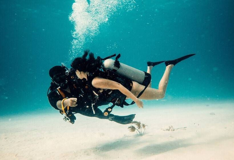 בית מלון כפרי Viajero San Andres Hostel