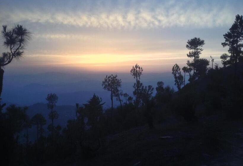 Отель Woodsvilla Resort