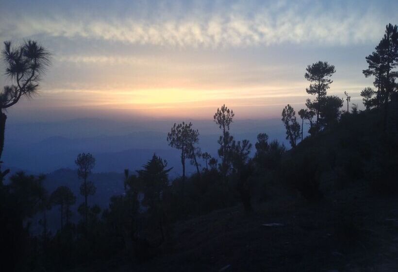 Отель Woodsvilla Resort