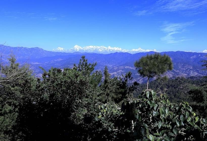 Отель Woodsvilla Resort