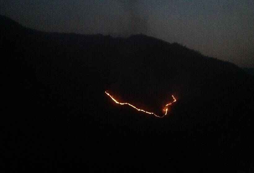 Отель Woodsvilla Resort