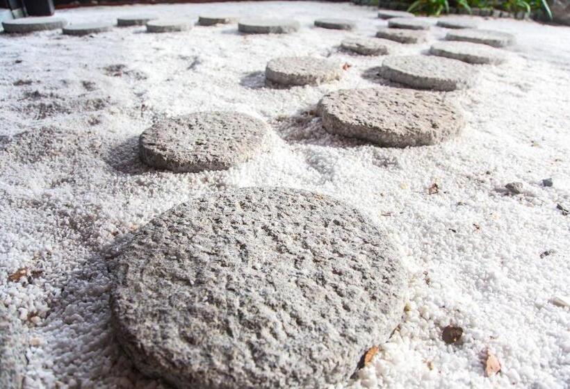 בית מלון כפרי 료칸 여명 旅館 黎明 Ryokan Reimei