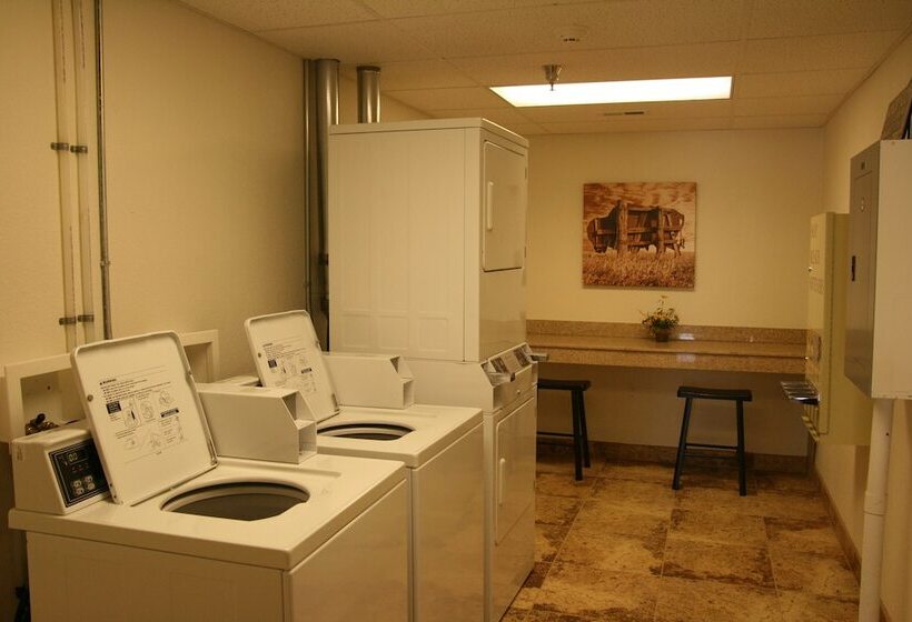 فندق على الطريق Buffalo Inn