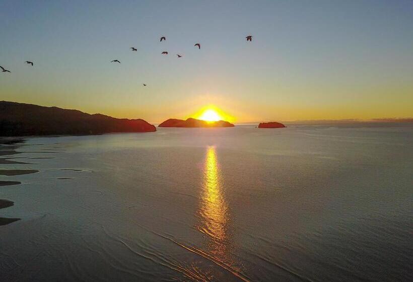 مُتل Century Park