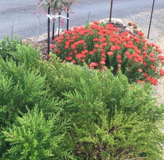 بنسيون Storm Bay B & B