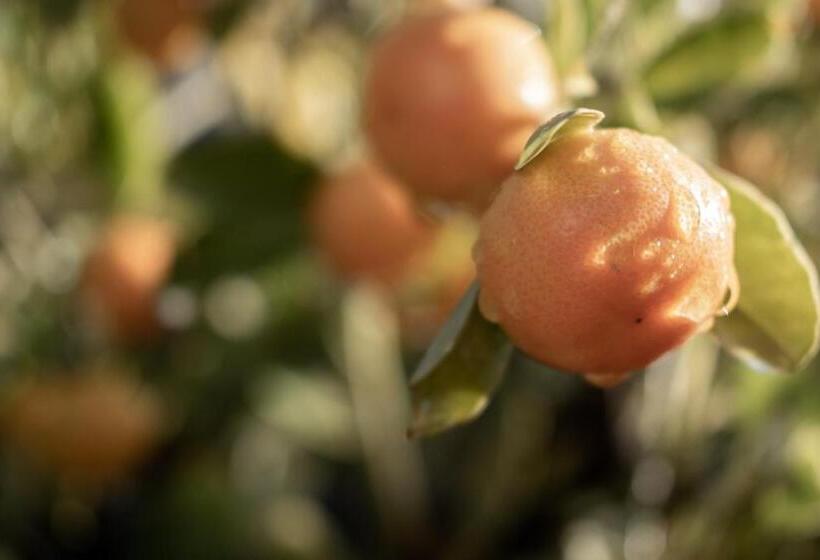 פנסיון Walton House