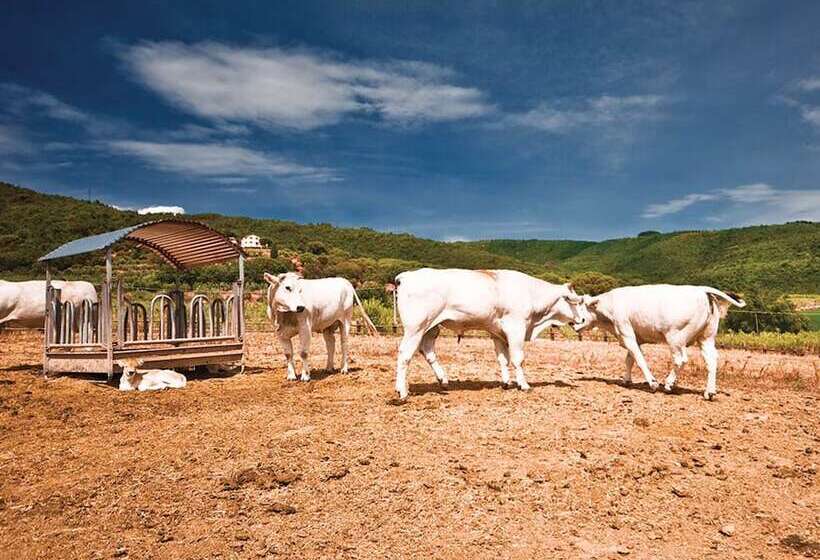 渡假胜地  Il Borro Relais & Chateaux