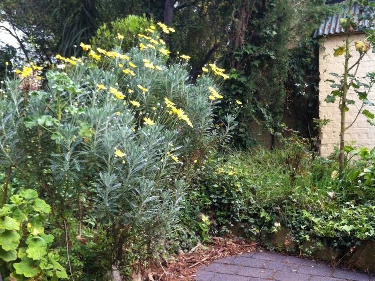 Richmond Cottages Tasmania