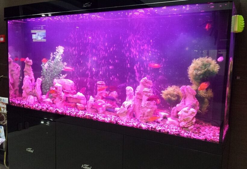 Royal Residence Hotel & Spa