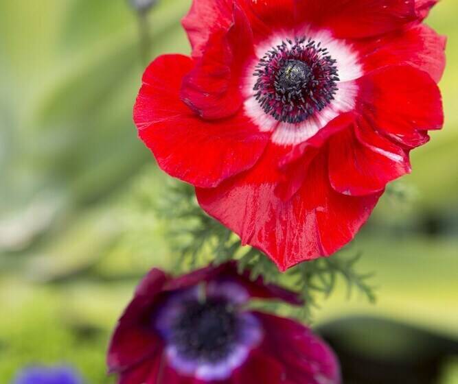 The Church Accommodation