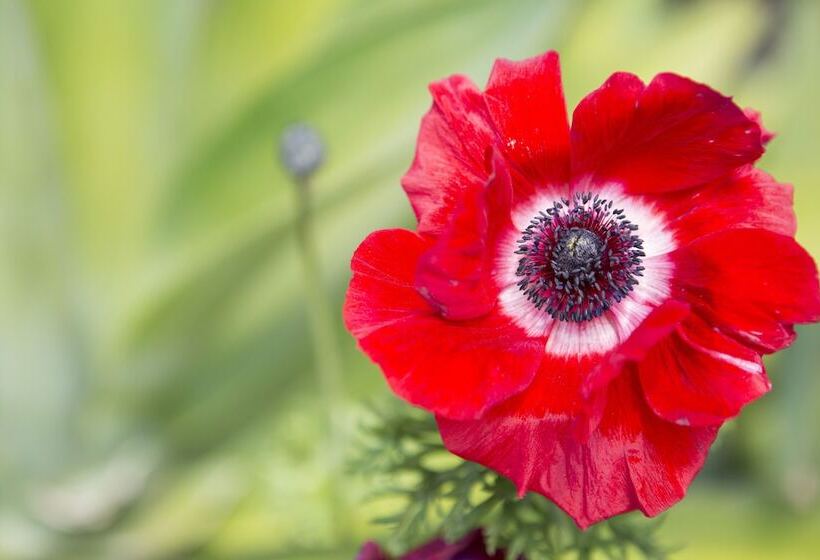 The Church Accommodation