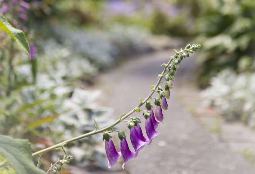 The Church Accommodation