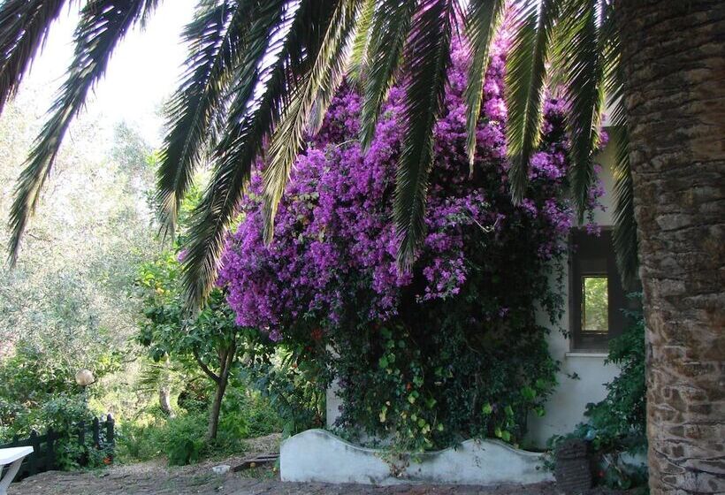 Agriturismo Su Tiresi