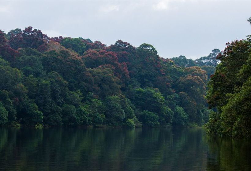 ユースホステル Vedanta Wake Up!