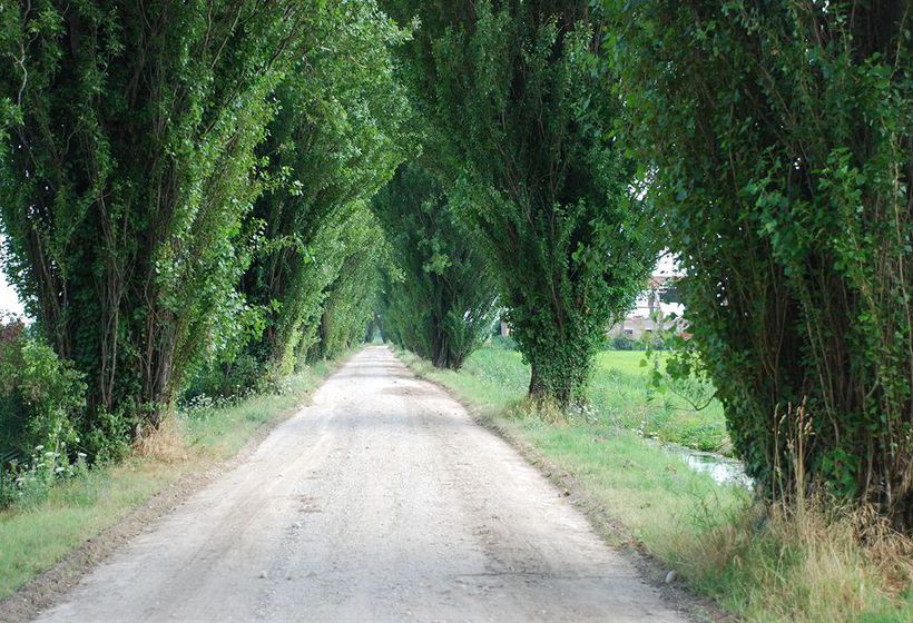 Apartamentos La Zambonina