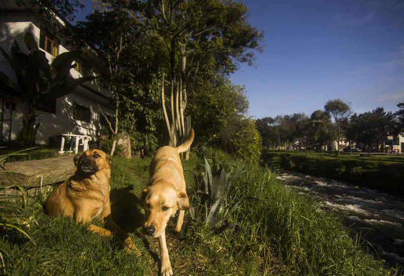 Apartamentos Otorongo Cuenca Ecuador