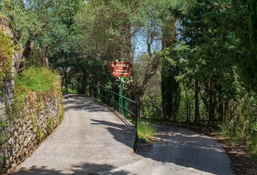 مبيت وإفطار Il Casale Sorrento