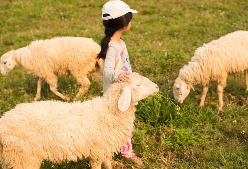 ホテル A Star Phulare Valley