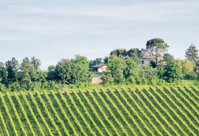 בית מלון כפרי Agriturismo Ca'de'gatti