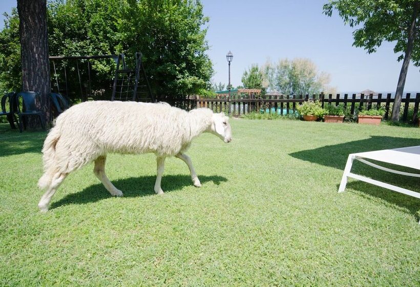 בית מלון כפרי Agriturismo Ca'de'gatti