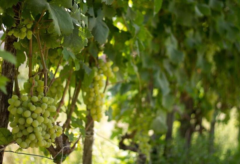 酒店 Agriturismo Il Gelsomino Ritrovato