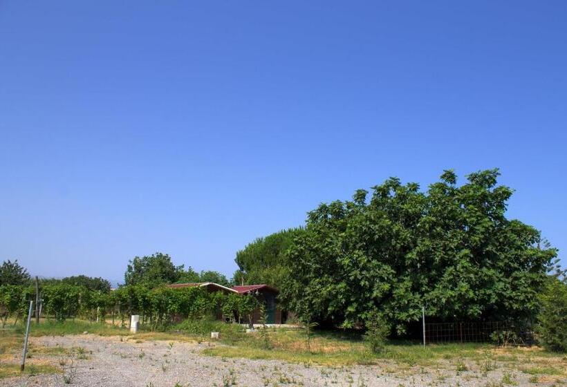 酒店 Agriturismo Il Gelsomino Ritrovato