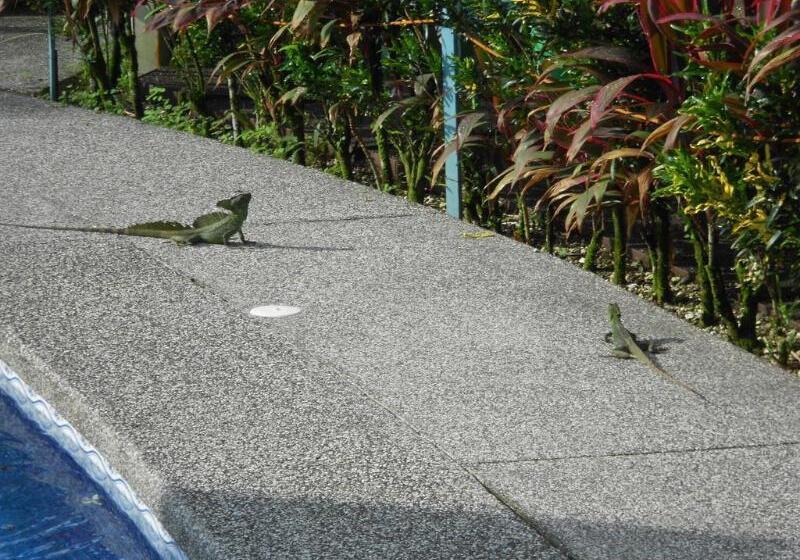 فندق Arenal Rabfer