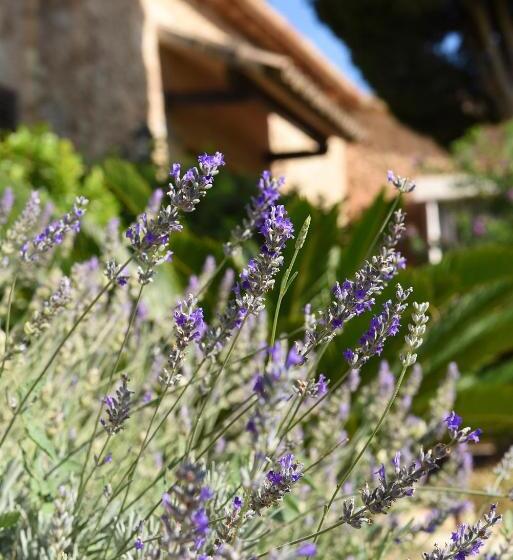 فندق Asis De Marratxinet Turismo De Interior