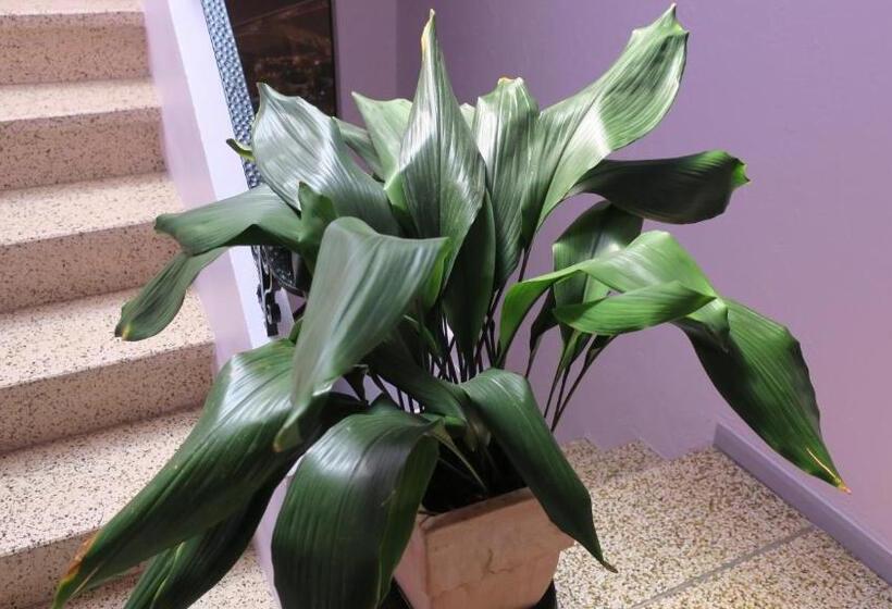 בית מלון כפרי Au Remp'Arts